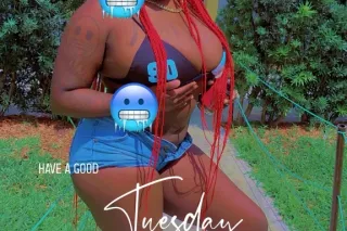 READY TO HAVE FUN - Image 1