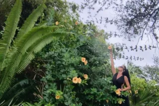 Internacional Porno Model in Miami beach. - Image 5